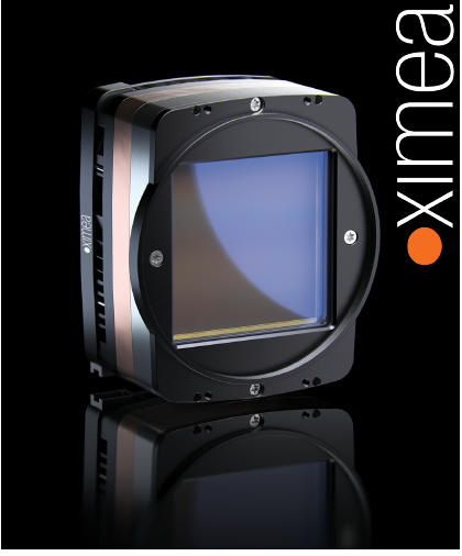 Screen Shot 2021 02 09 At 9 59 27 Am