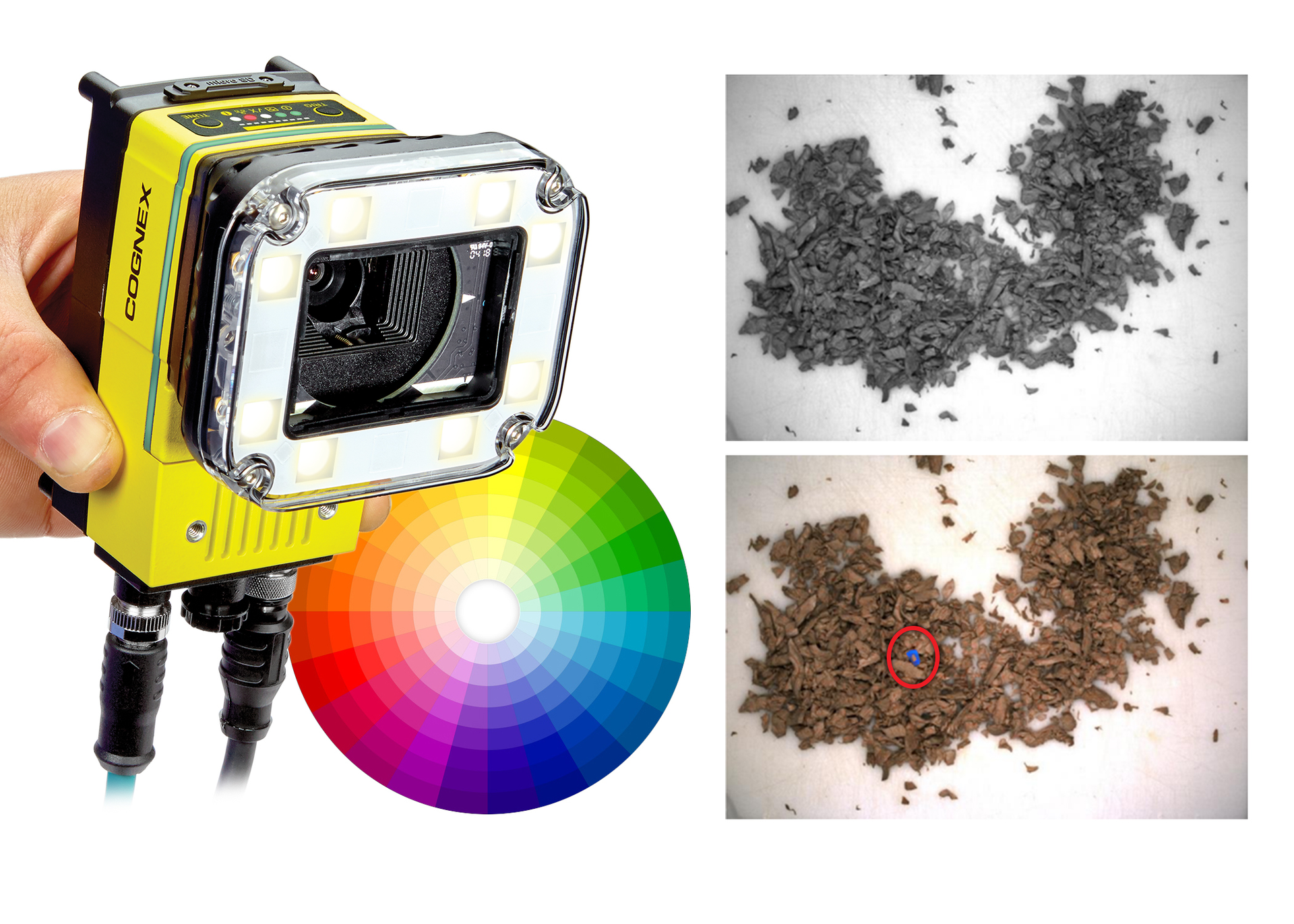 D900colorpr 602589257fca4