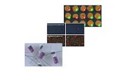 Deep Learning Bundle Vsd 64b9afa415fc3 Deep Learning Bundle Vsd 64b9afa415fc3