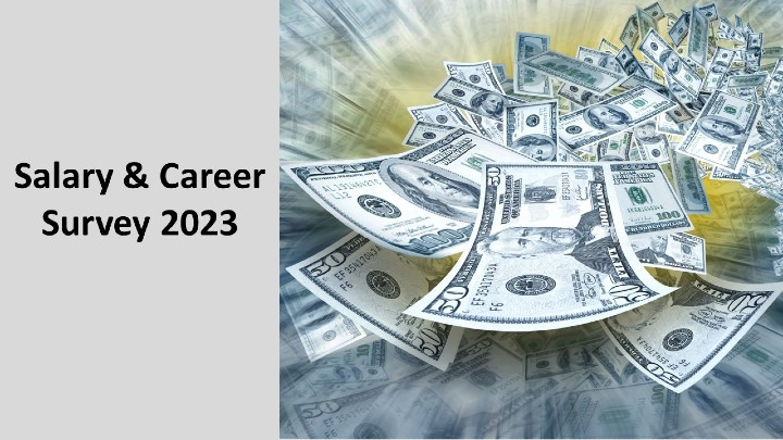 Vsd Salary Careeer Survey 2023 Base 64ff2425979dd