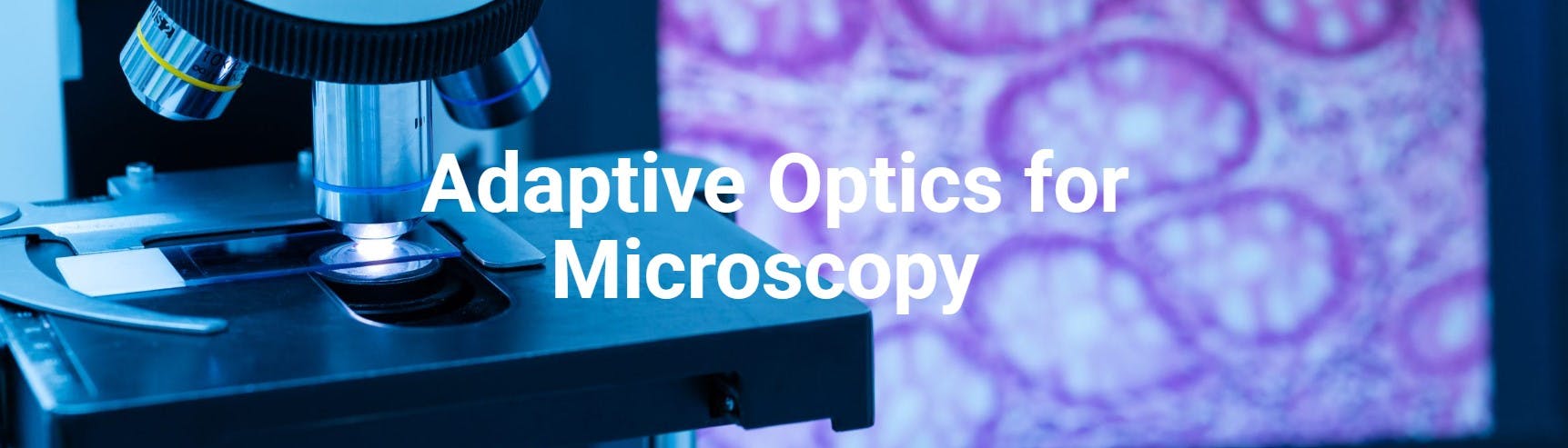 Courtesy of Avantier