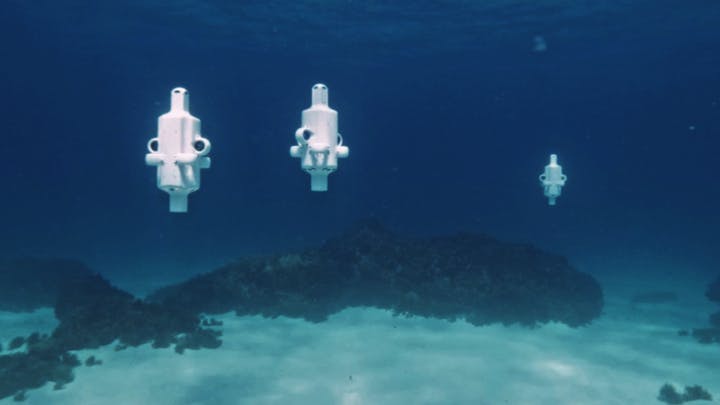 Figure 1: Three Hydrus drones descending to the sea floor at Hall Bank coral reef, off the coast of Western Australia.