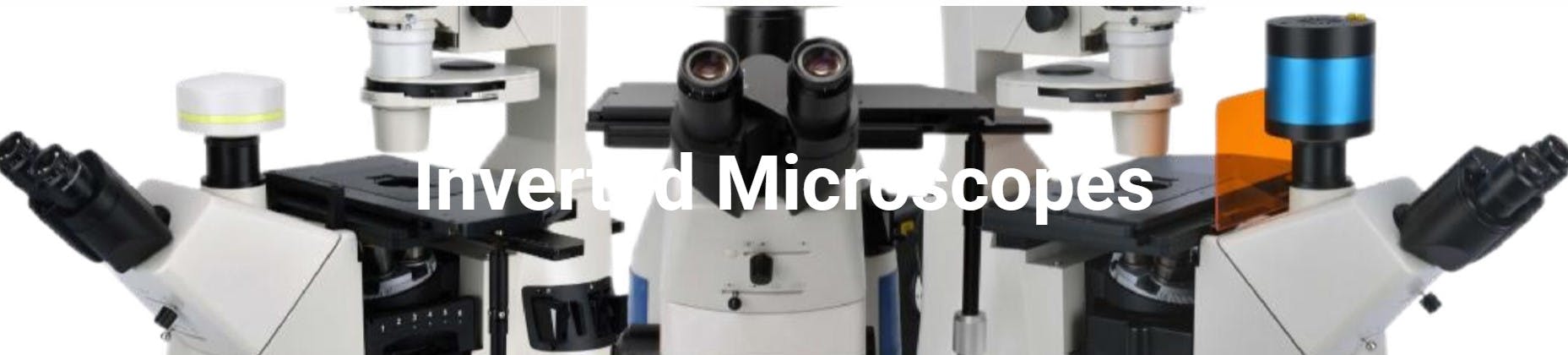Inverted Microscopes