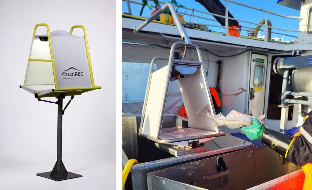 Catch Reg Uses Computer Vision And Machine Learning To Automatically Classify Species, Weight, And Quantity Of Each Fish In Real Time