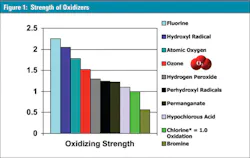 3511 Ozone Crypto Inactivation Figure1 3511 Ozone Crypto Inactivation Figure1