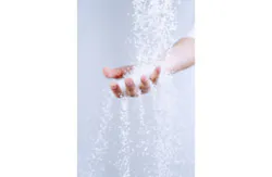 Ts 178528132 Ts 178528132