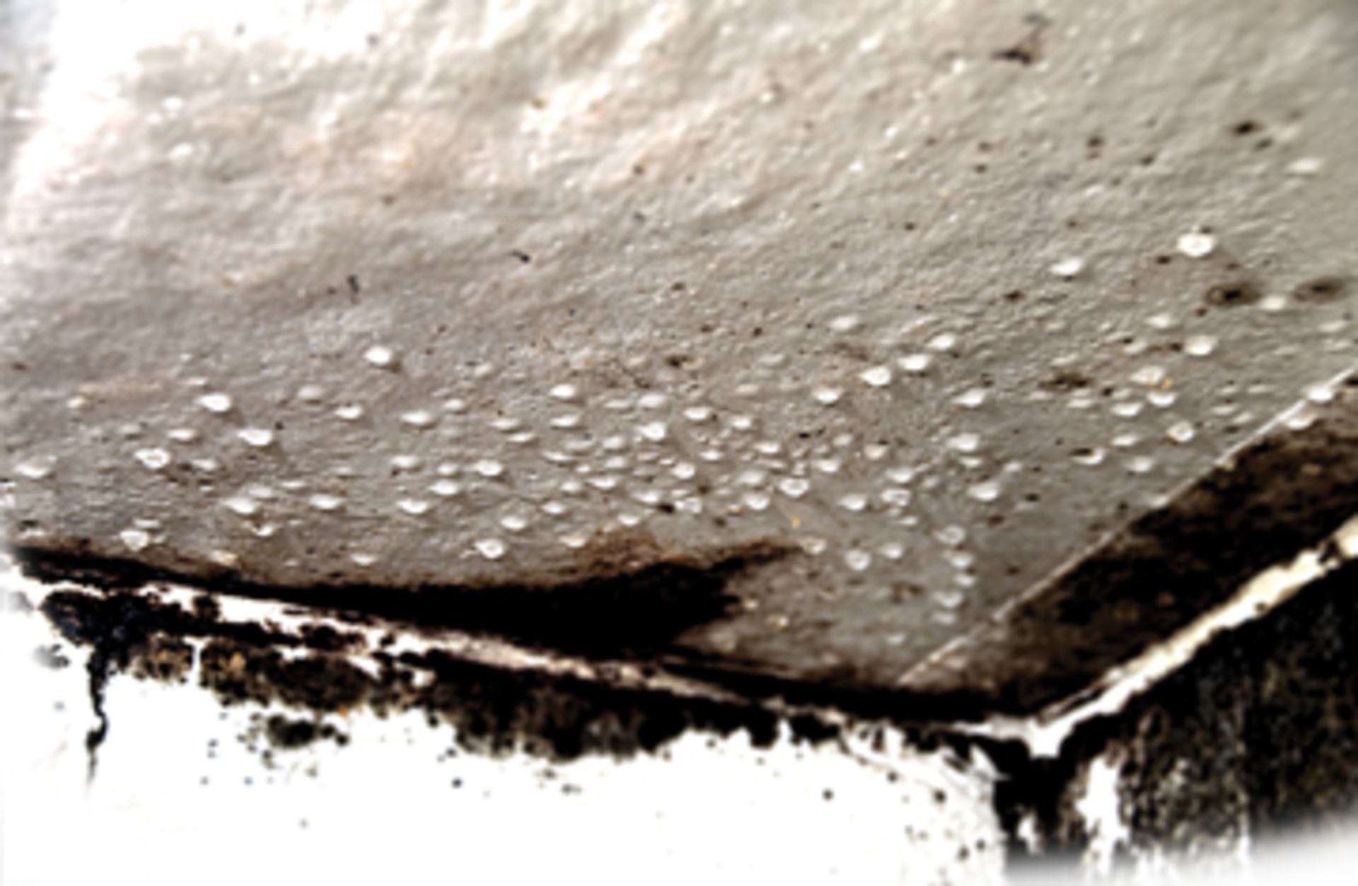 3603-risks-mold-mildew-in-air.jpg