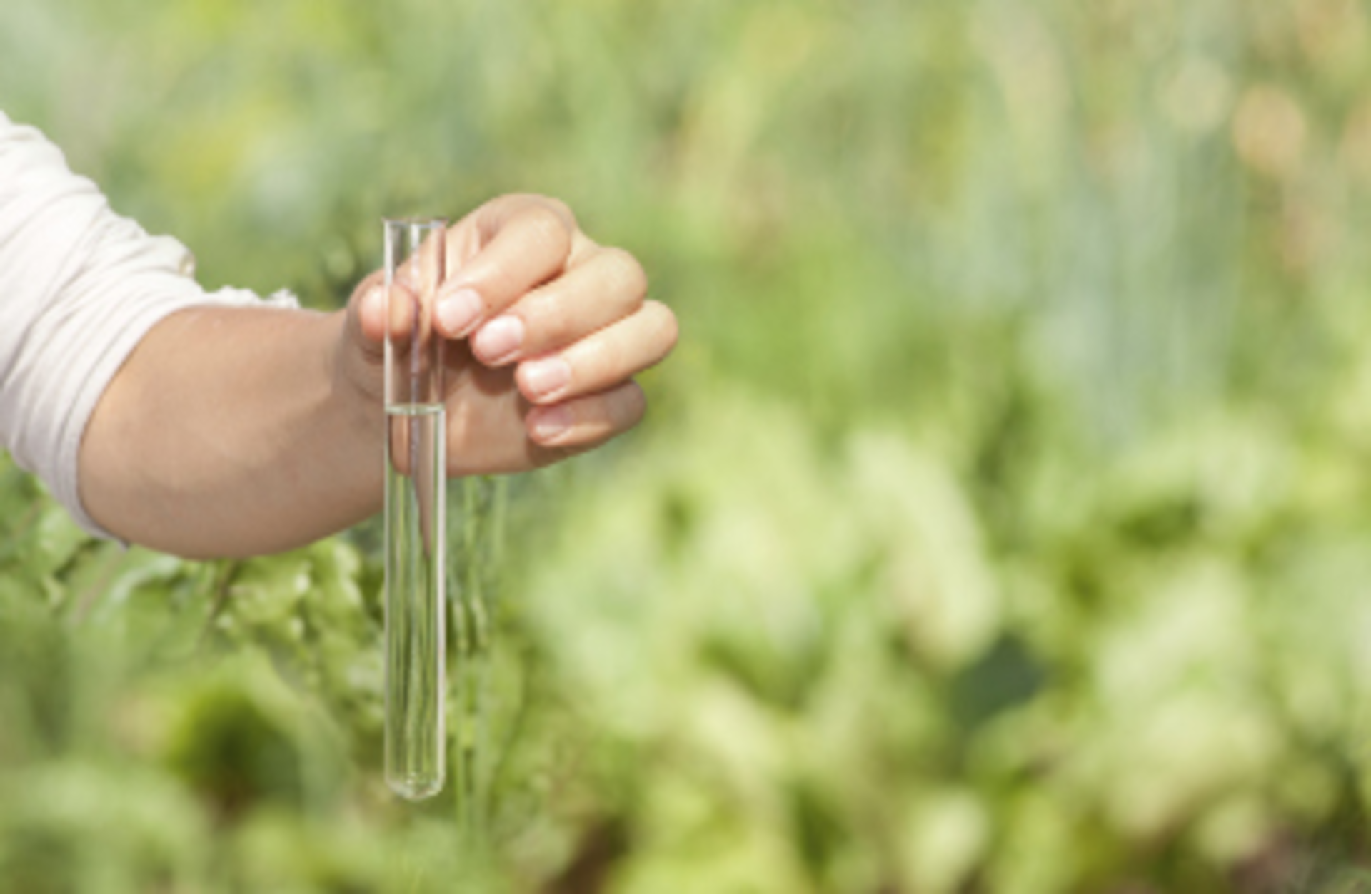 wasja/iStock/ThinkStock