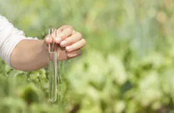 wasja/iStock/ThinkStock wasja/iStock/ThinkStock