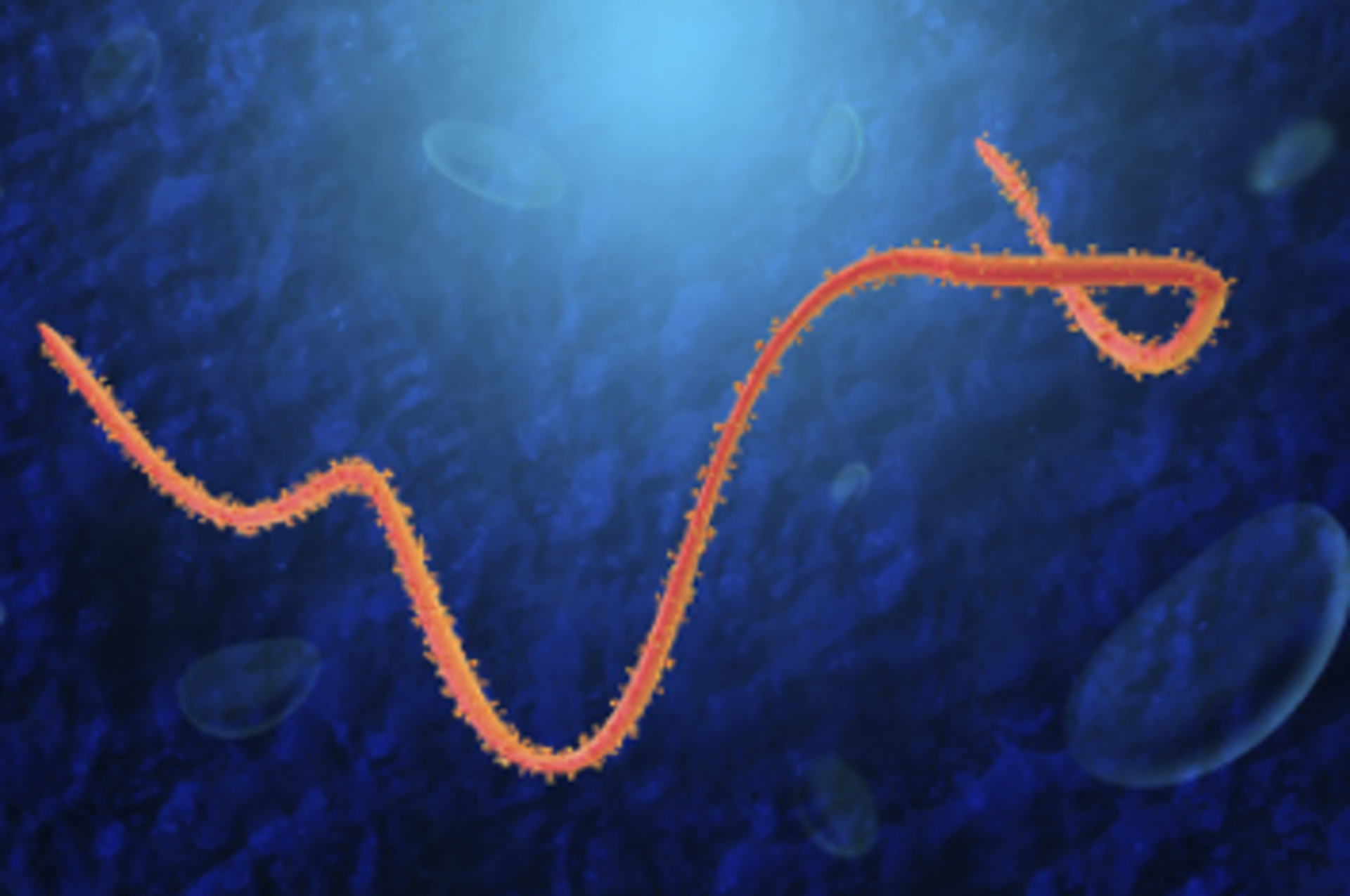 Bumbasor/iStock/Thinkstock