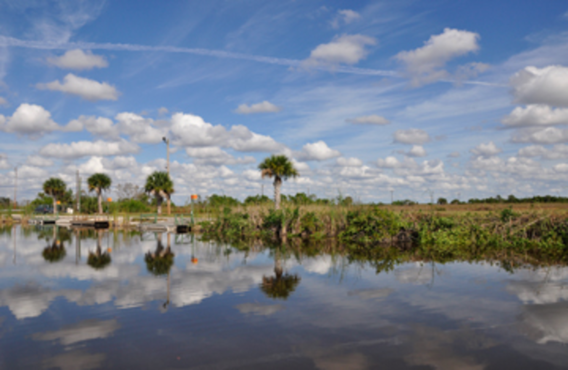 everglades