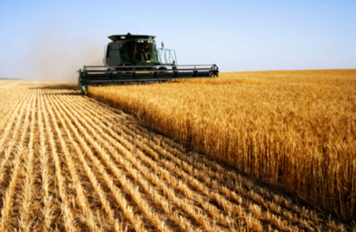 agriculture