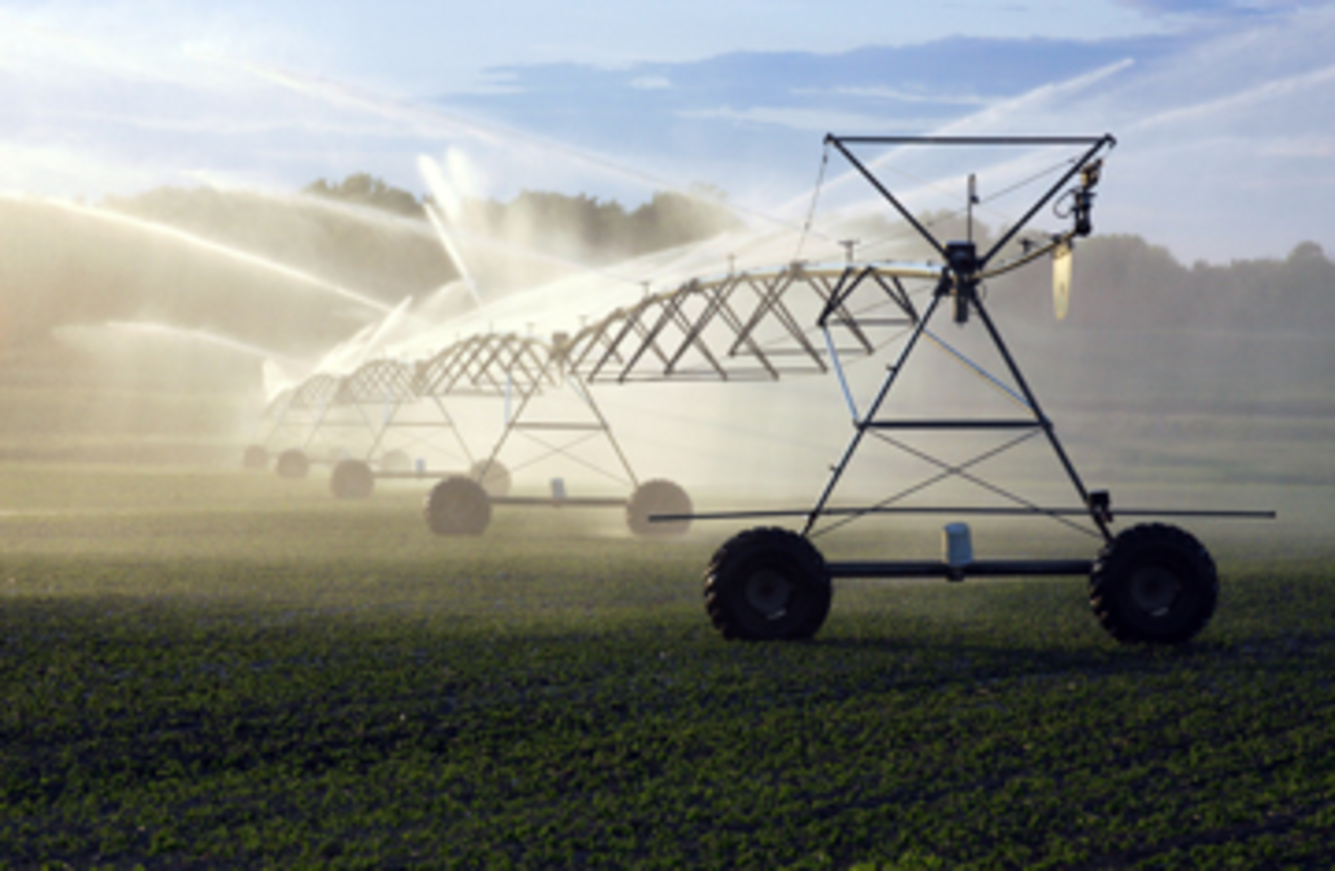irrigation