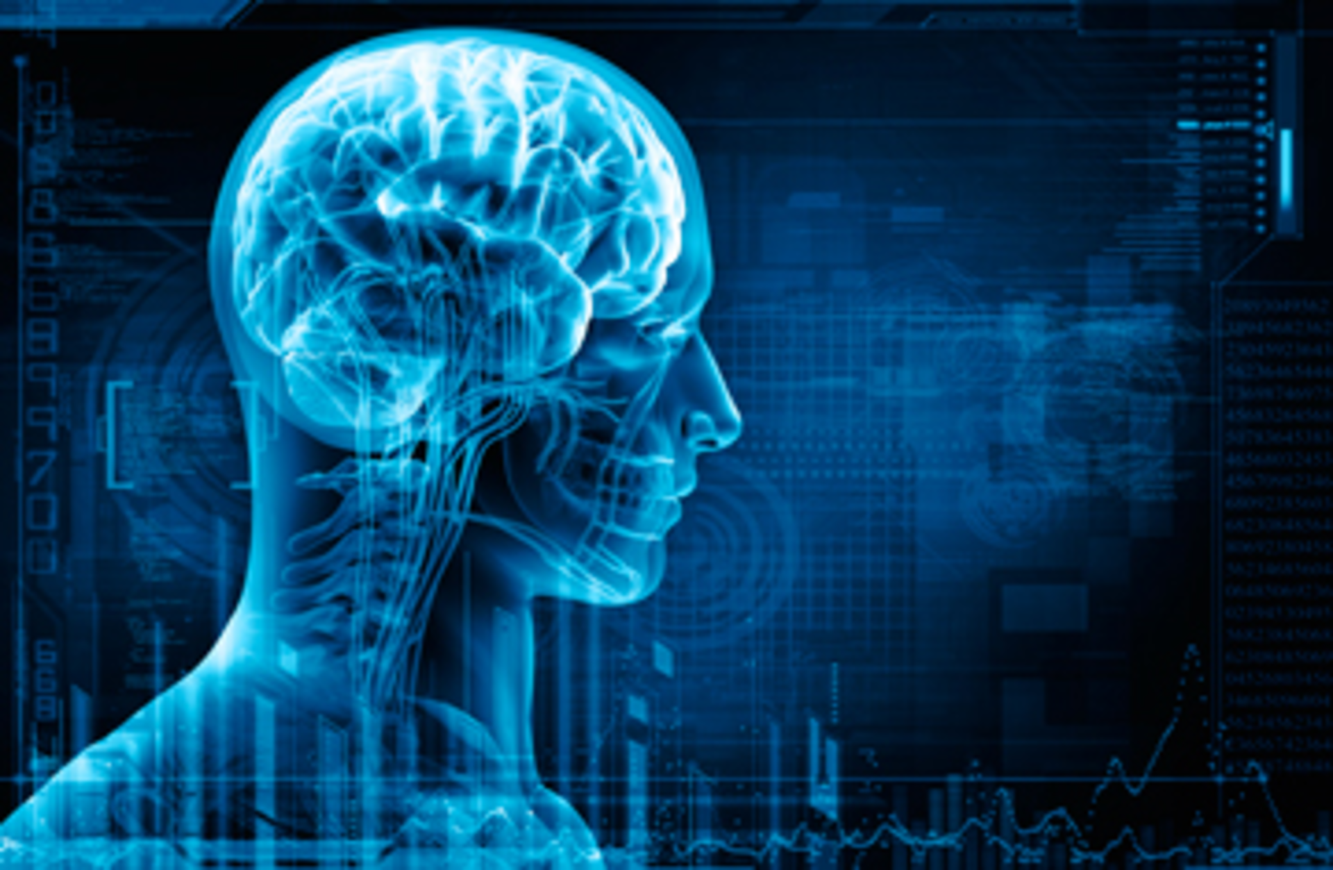 brain; lifestyle; environment