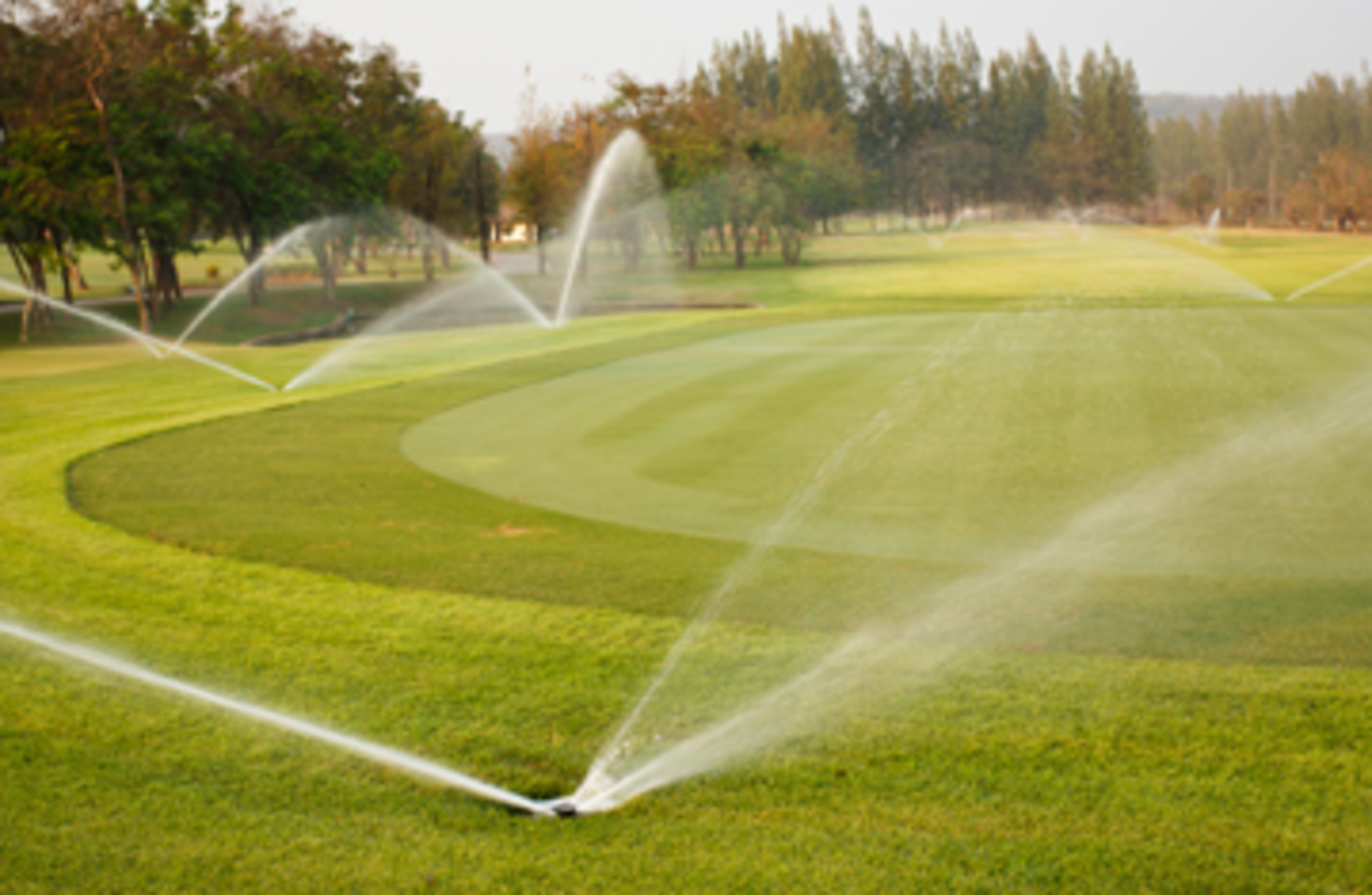 irrigation