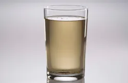 dirty-water dirty-water