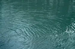 AchimPrill/iStockPhoto/ThinkStock AchimPrill/iStockPhoto/ThinkStock