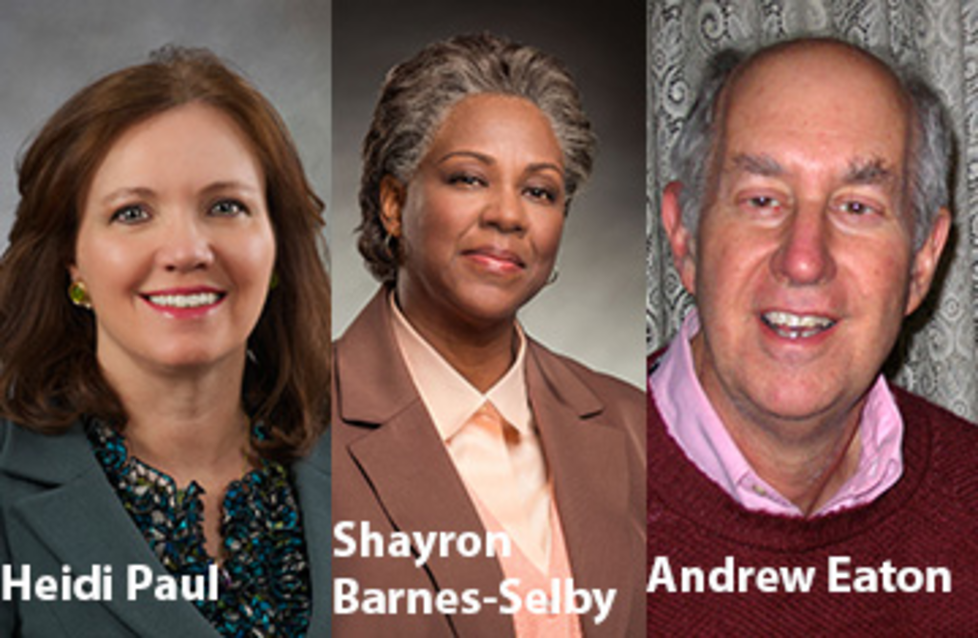 IBWA appoints new board members