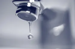 aristotoo/Signature/iStock aristotoo/Signature/iStock