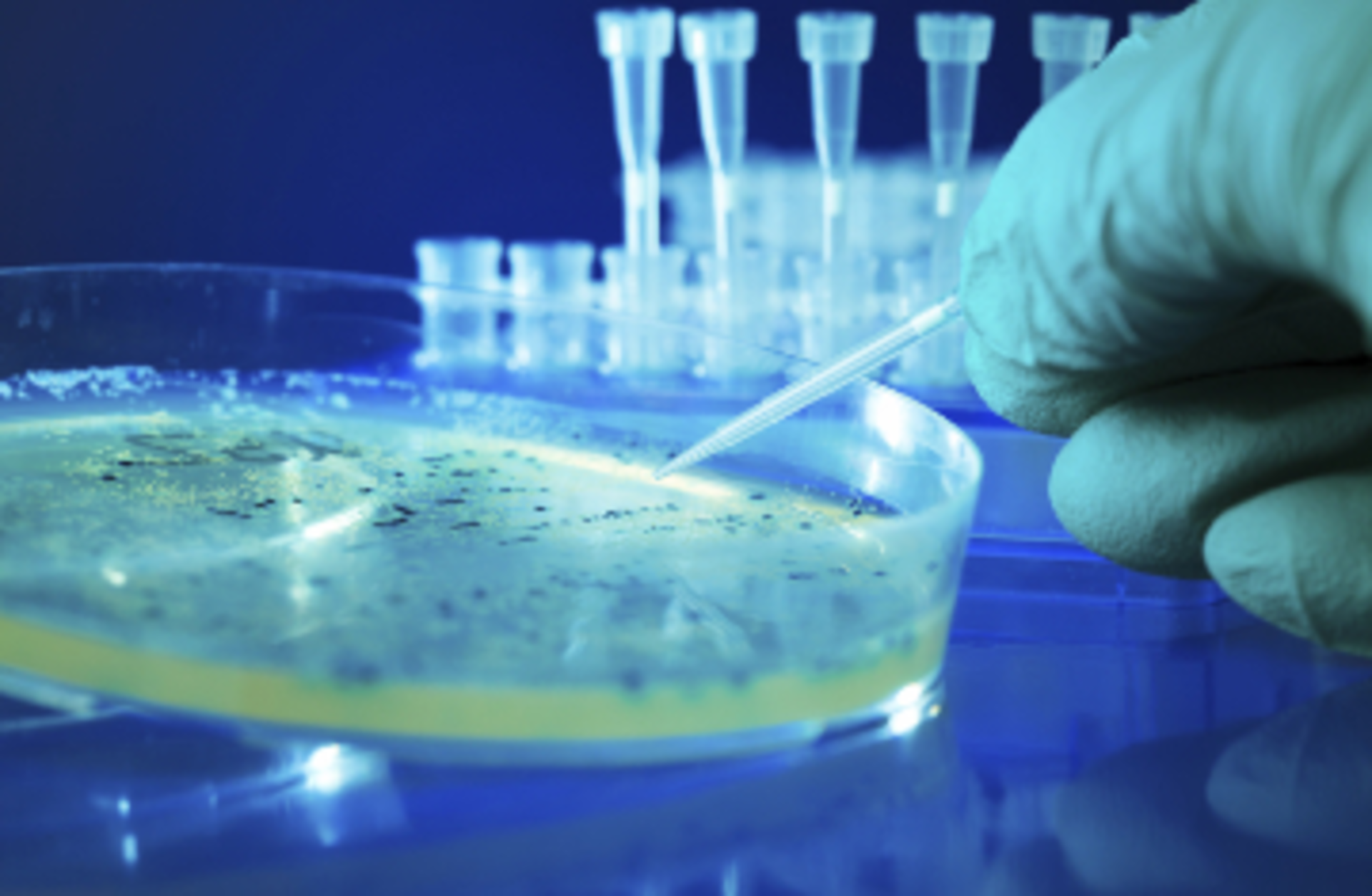 luchschen/Essentials/iStock