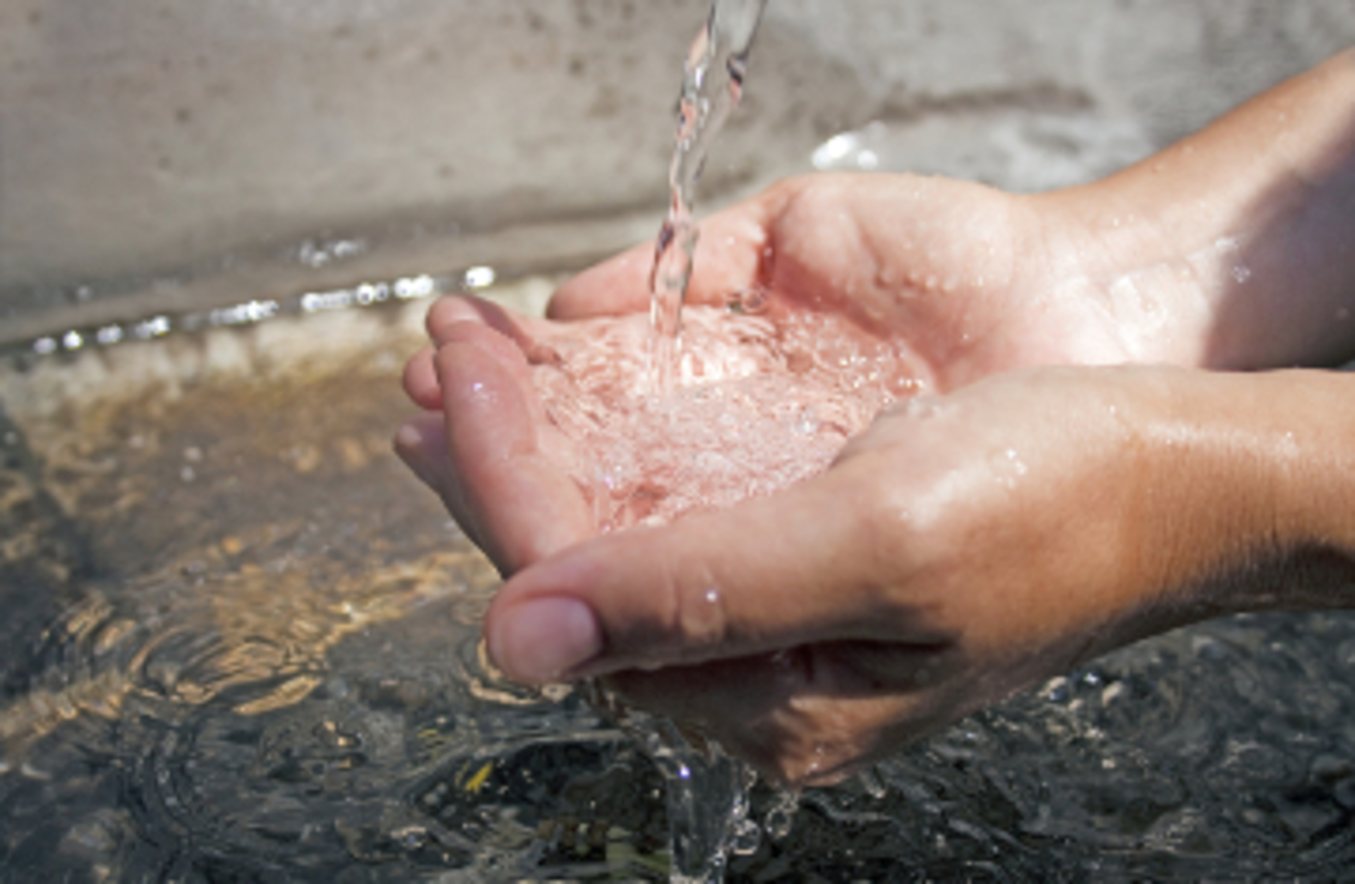 PennaPazza/Essentials/iStock