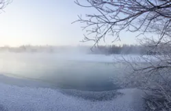 MingmingWang/Essentials/iStock MingmingWang/Essentials/iStock