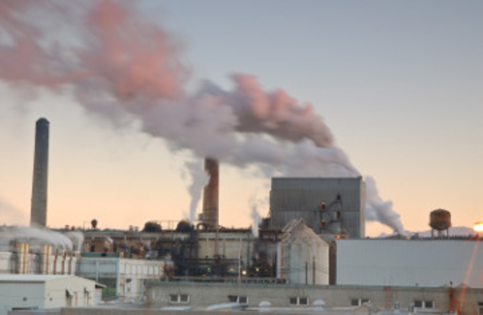 Scalewatcher Paper Factory