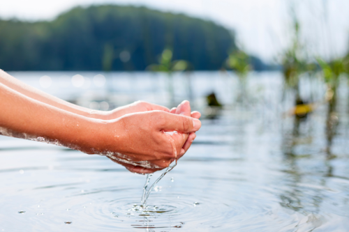 naumoid/iStock