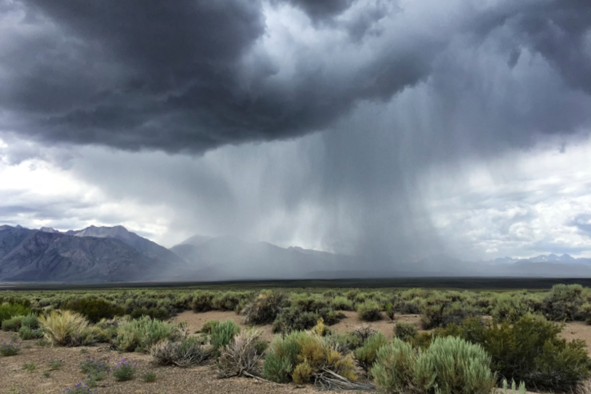 Bobbushphoto/iStock
