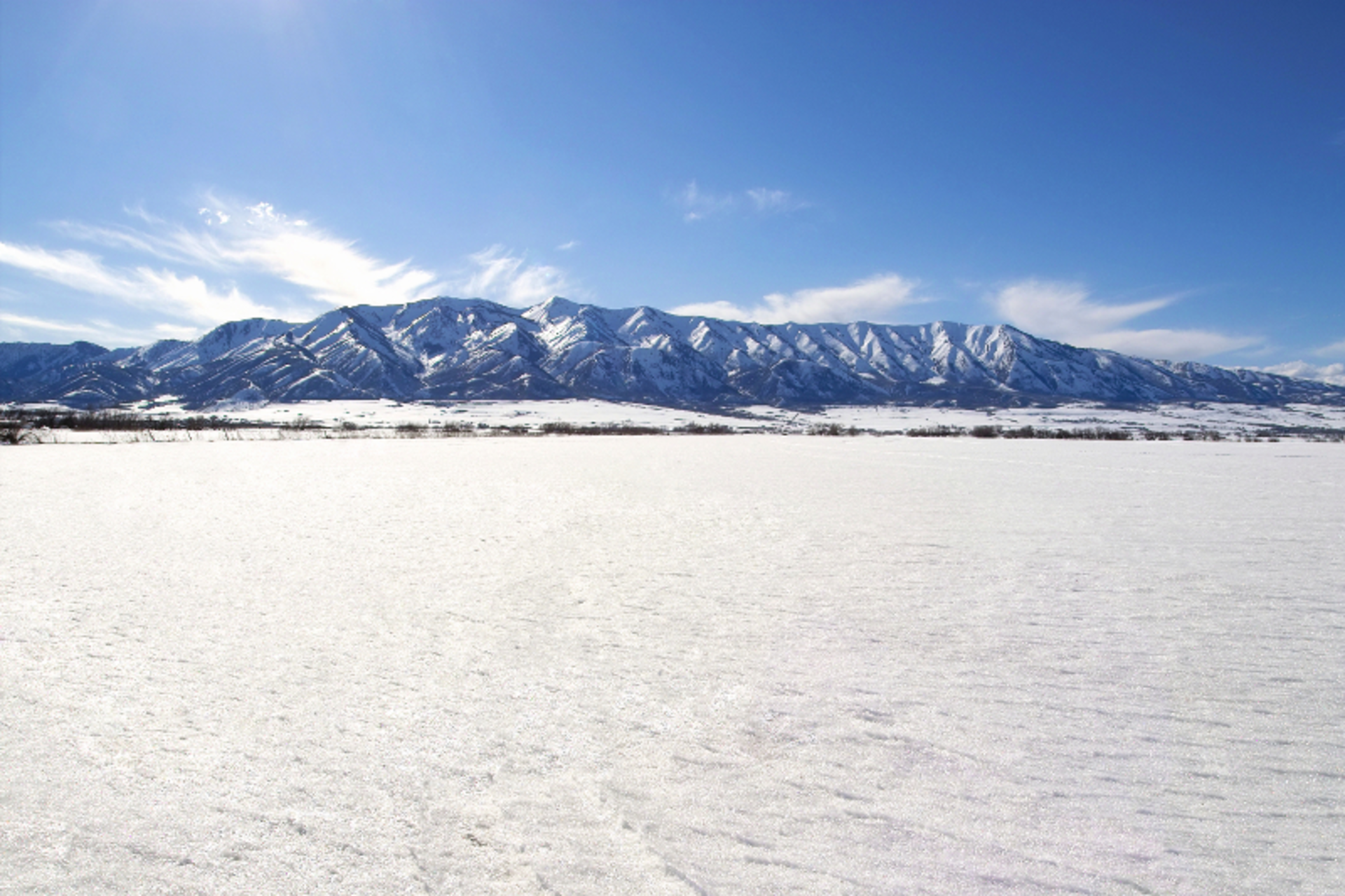 Justin Horrocks/iStock