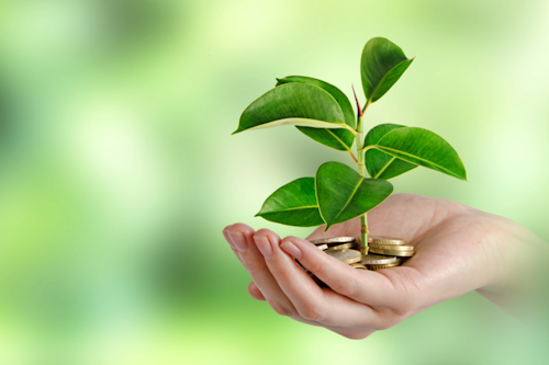 vaeenma/iStock