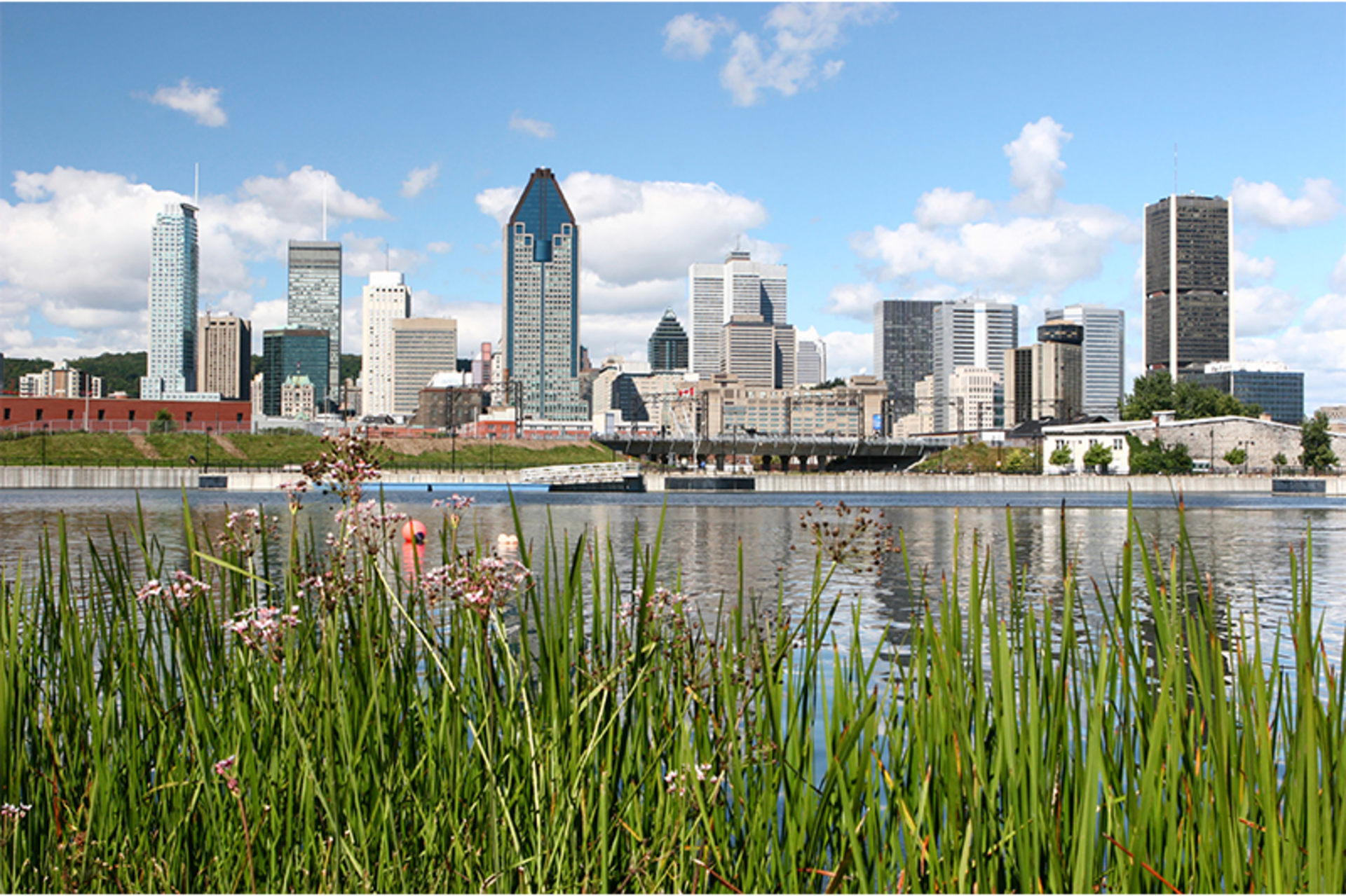 Tony Tremblay/iStock