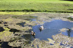 mtreasure/iStock mtreasure/iStock