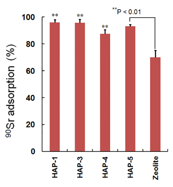 Fig. 1. Adsorption efficiency of 90Sr onto HAP and zeolite examined on competing cation-free solution. *P