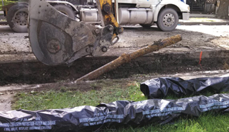 Aa 1399813 10151700755772215 1893066333 O