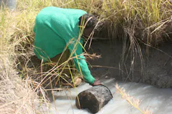 Africa Mdgs Africa Mdgs