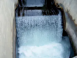 Disinfection Photo 4 Effluent 2 Disinfection Photo 4 Effluent 2