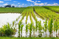 ghornephoto/iStock ghornephoto/iStock