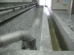 Ovivo Dip Daf Ovivo Dip Daf