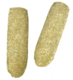 Pennwell web 120 132 Pennwell web 120 132