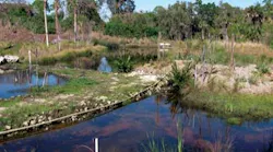 Pennwell web 400 223 Pennwell web 400 223