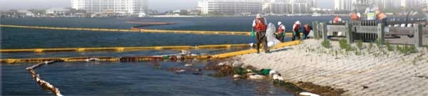 Pennwell web 600 135