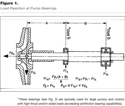 radial bearing and thrust bearing
