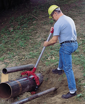 Reed Rotary Cutter In Use