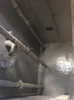 Sauereisen Img 1980 Sauereisen Img 1980