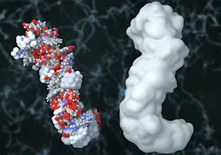 selvanegra/iStock selvanegra/iStock