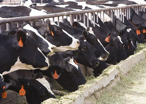 Content Dam Ww Online Articles 2016 06 5249420021 D9b2818a54 Z