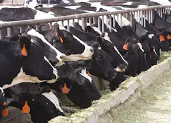 Content Dam Ww Online Articles 2016 06 5249420021 D9b2818a54 Z Content Dam Ww Online Articles 2016 06 5249420021 D9b2818a54 Z