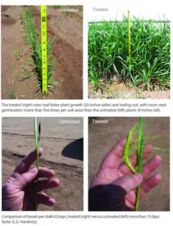 30 Wt 0716 3 785x1024 30 Wt 0716 3 785x1024