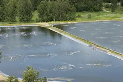 Solidago/iStock Solidago/iStock